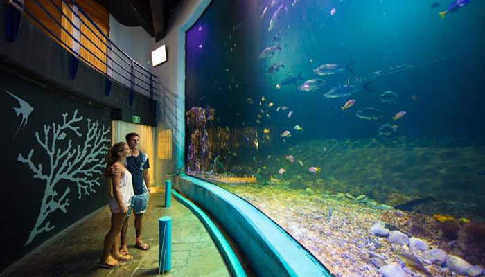 cancun aquarium 